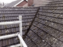 Roof Debris Removal in the Fife WA